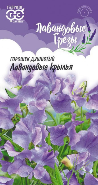 Душистый горошек Лавандовые Крылья 