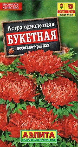 Астра Букетная Лососево-Красная 