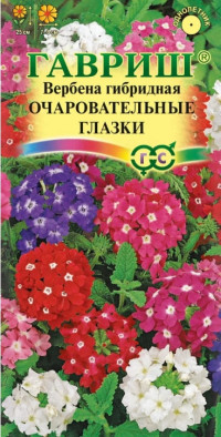 Вербена Очаровательные Глазки Гаври