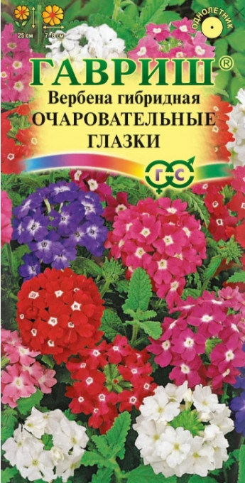 Вербена Очаровательные Глазки Гаври 
