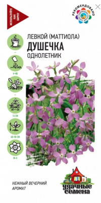 Маттиола Душечка двурогая Гавриш