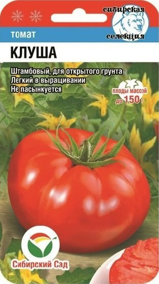 Томат Клуша 