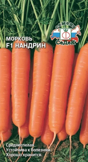 Морковь Нандрин F1 Голландия 