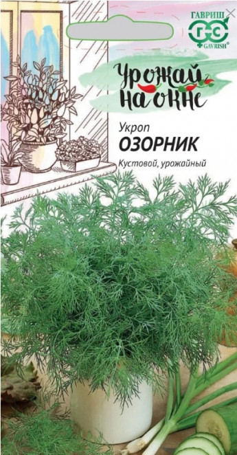 Укроп Озорник комнатный Гавриш 
