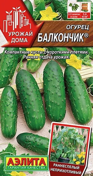 Огурец Балкончик комнатный Аэлита 