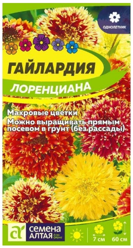 Гайлардия Лоренциана Сем.Алтая 