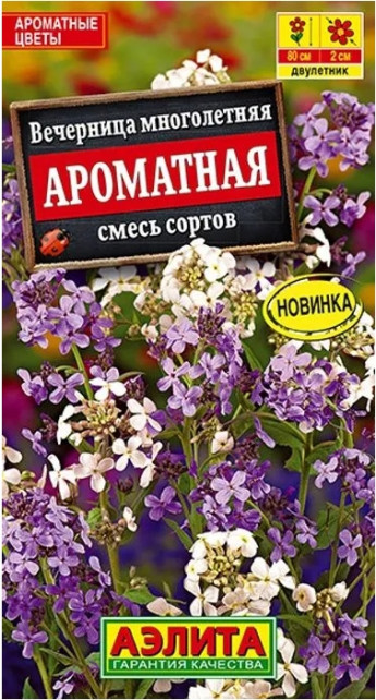 Вечерница Ароматная Аэлита 