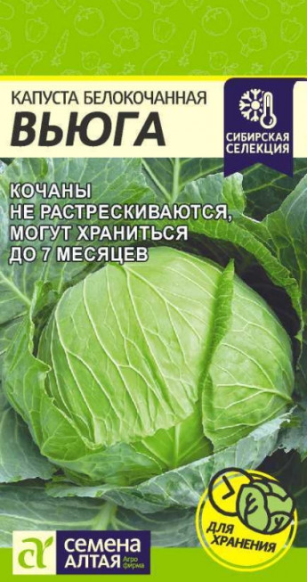 Капуста б/к Вьюга Сем.Алтая 