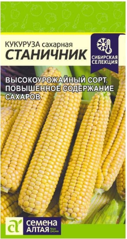Кукуруза Станичник Сем.Алтая 