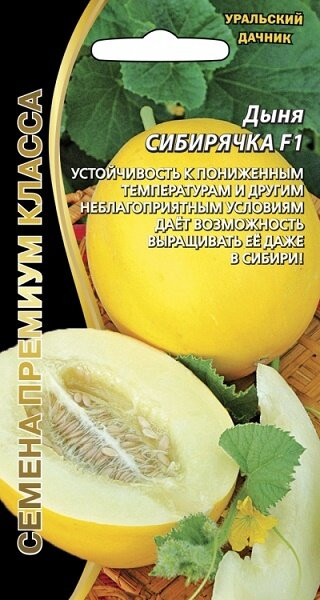 Дыня Сибирячка F1 ультраскороспелая 