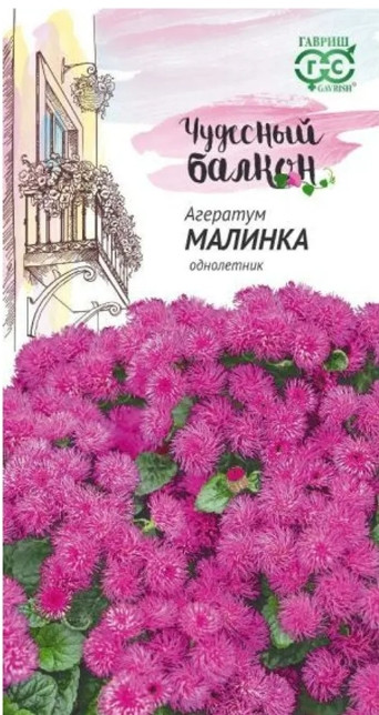 Агератум Малинка Чуд.Балкон 