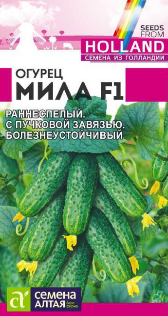 Огурец Мила F1 Сем.Алтая 