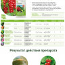 Клещевит флакон 10мл от Клещей АВГ - 