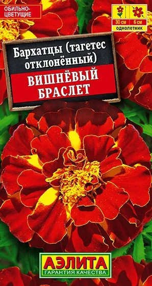 Бархатцы Вишневый Браслет Аэлита 