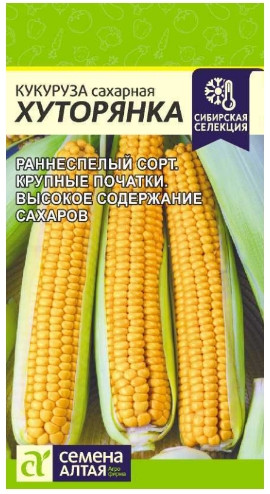 Кукуруза Хуторянка Сем.Алтая 