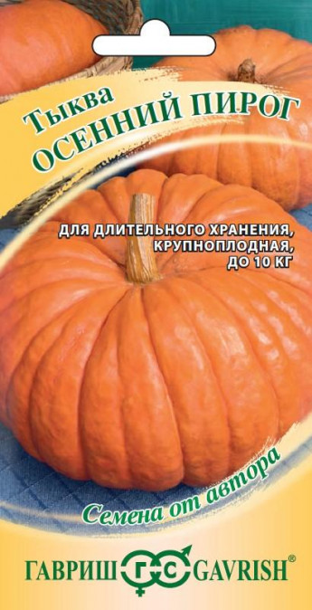 Тыква Осенний Пирог крупн.Гавриш 