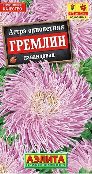Астра Гремлин ЛАВАНДОВАЯ Аэлита 