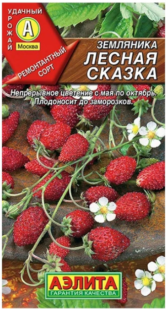 Земляника Лесная Сказка 
