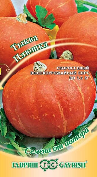 Тыква Плюшка 