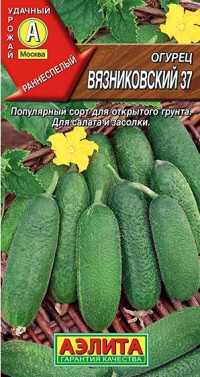 Огурец Вязниковский 37 Аэлита