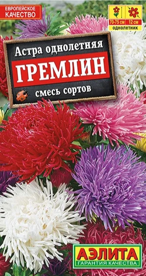 Астра Гремлин СМЕСЬ окрасок Аэлита 