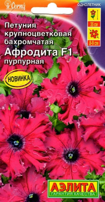 Петуния Афродита Пурпурная бахр.Аэл 