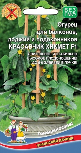Огурец Красавчик Хикмет балконный 