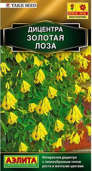 Дицентра Золотая Лоза Takii Seed 