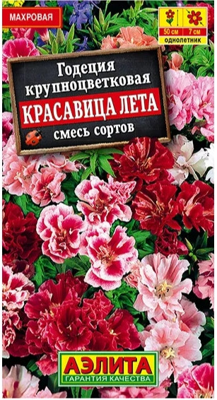 Годеция Красавица Лета Аэлита 