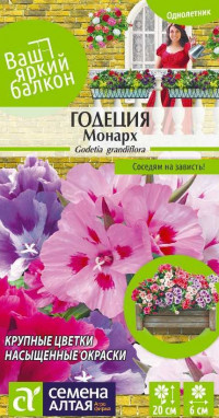 Годеция Монарх крупноцветк.Сем.Алта