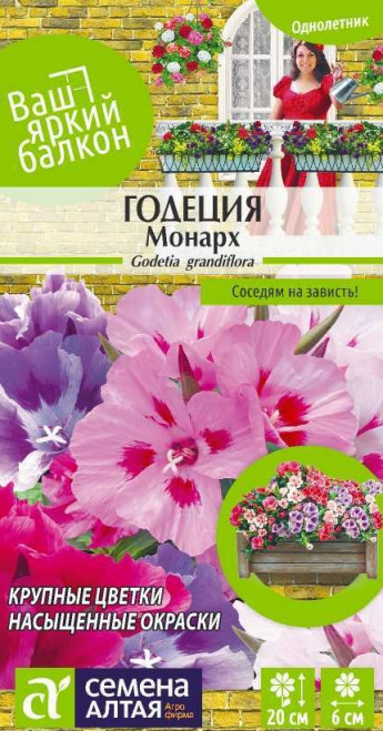 Годеция Монарх крупноцветк.Сем.Алта 