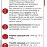 Комароед 100 мл авг - 
