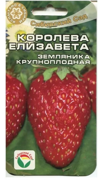 Клубника Королева Елизавета 