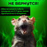 Крысиная отрава ALT 200гр брикеты - 