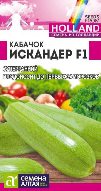 Кабачок цук Искандер F1 Голландия 