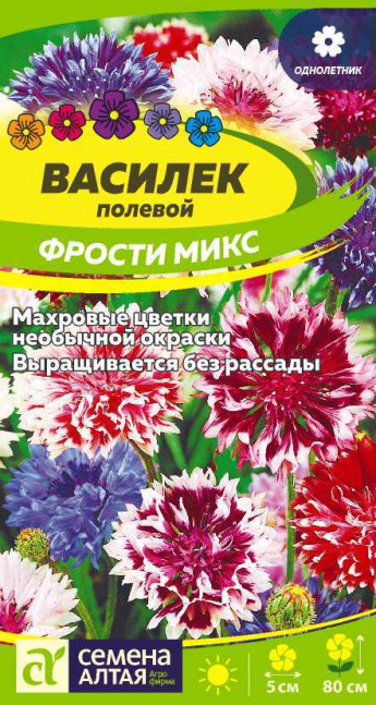 Василек Фрости Микс Сем.Алтая 