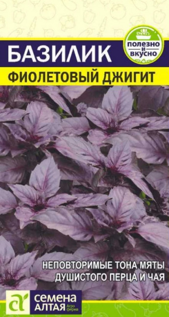 Базилик Фиолетовый Джигит Сем.Алтая 
