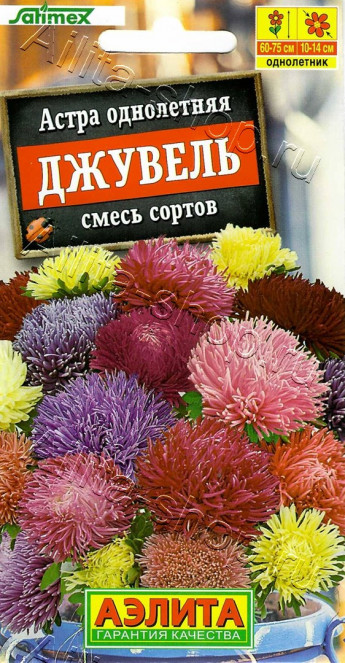 Астра Джувель смесь сортов Аэлита 