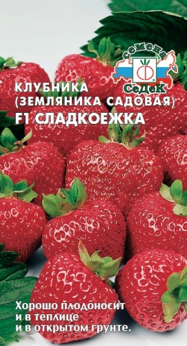 Клубника Сладкоежка F1 СеДек 