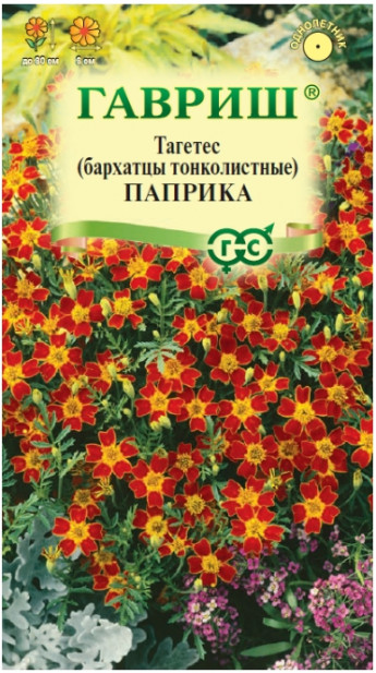Бархатцы Паприка Гавриш 