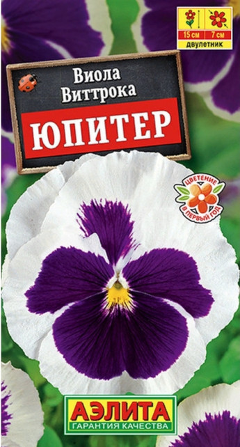 Виола Юпитер Аэлита 