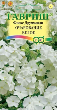 Флокс друммонда Очарование БЕЛОЕ