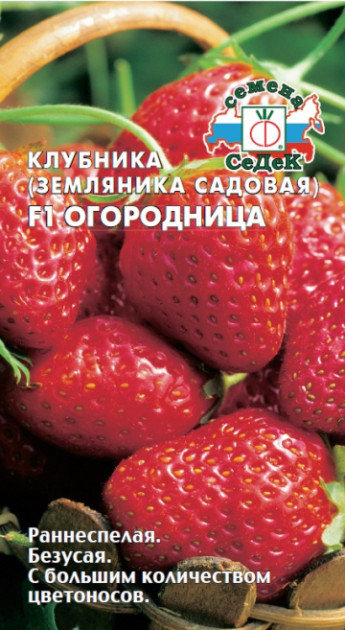 Клубника Огородница F1 СеДек 