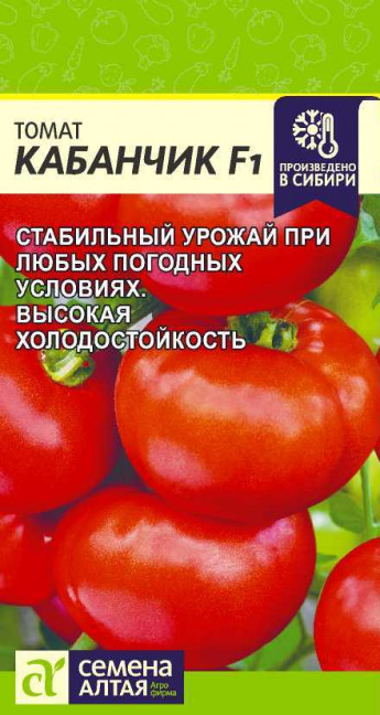 Томат Кабанчик F1 Сем.Алтая 