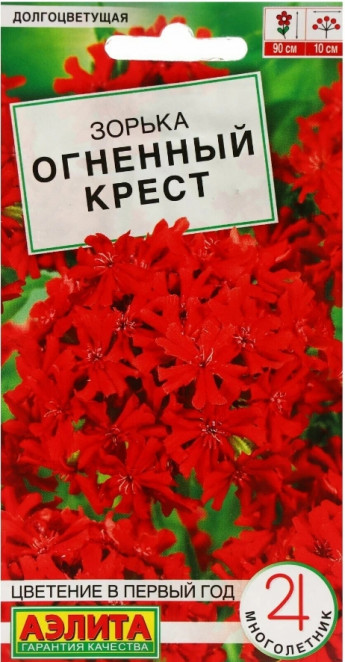 Зорька огненный крест многолетник