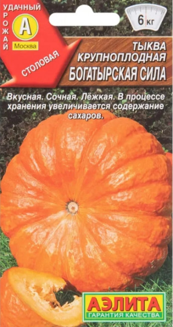 Тыква Богатырская Сила Аэлита 
