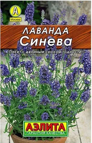 Лаванда Синева лидер Аэлита 