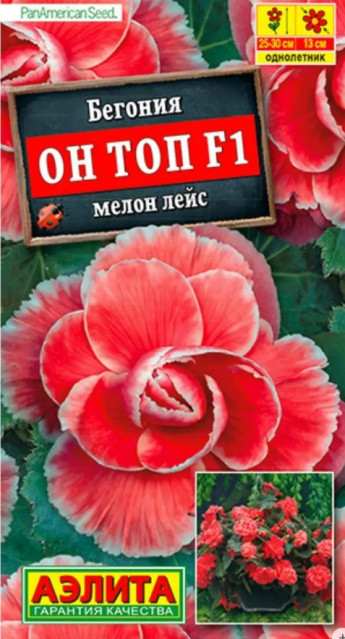 Бегония Он Топ Мелон Лейс Аэлита 