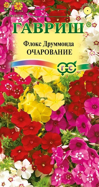 Флокс друммонда Очарование СМЕСЬ 