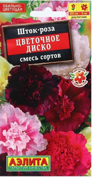 Шток-роза Цветочное Диско смесь 